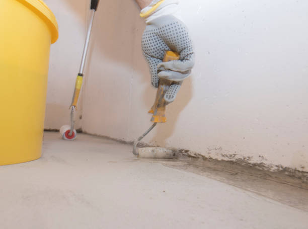 Best Pest Exclusion Services  in Newington, VA